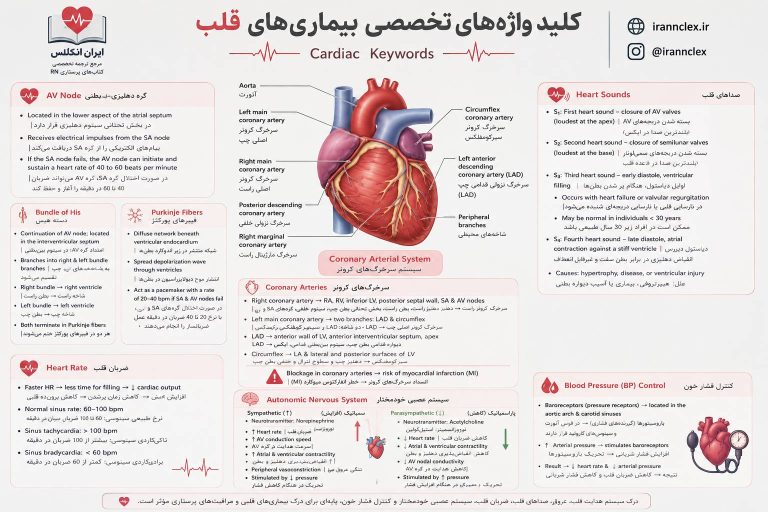 کلید واژه های تخصصی قلب